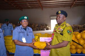 KEBBI CUSTOMS PROTECTS LIVES AND LIVELIHOODS, HANDS OVER SEIZED HARMFUL HERBICIDES, CANNABIS SATIVA AND LIVE AMMUNITION