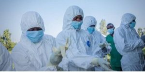 FG Confirms Ebola Case In Abuja, Patient Arrived From Uganda
